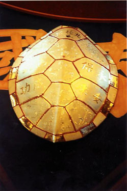 Golden_turtle_shell_2_26_02wrk.jpg - 31201 Bytes