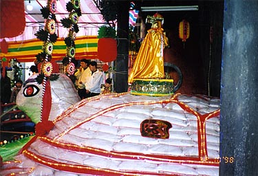 rice flour sea turtle